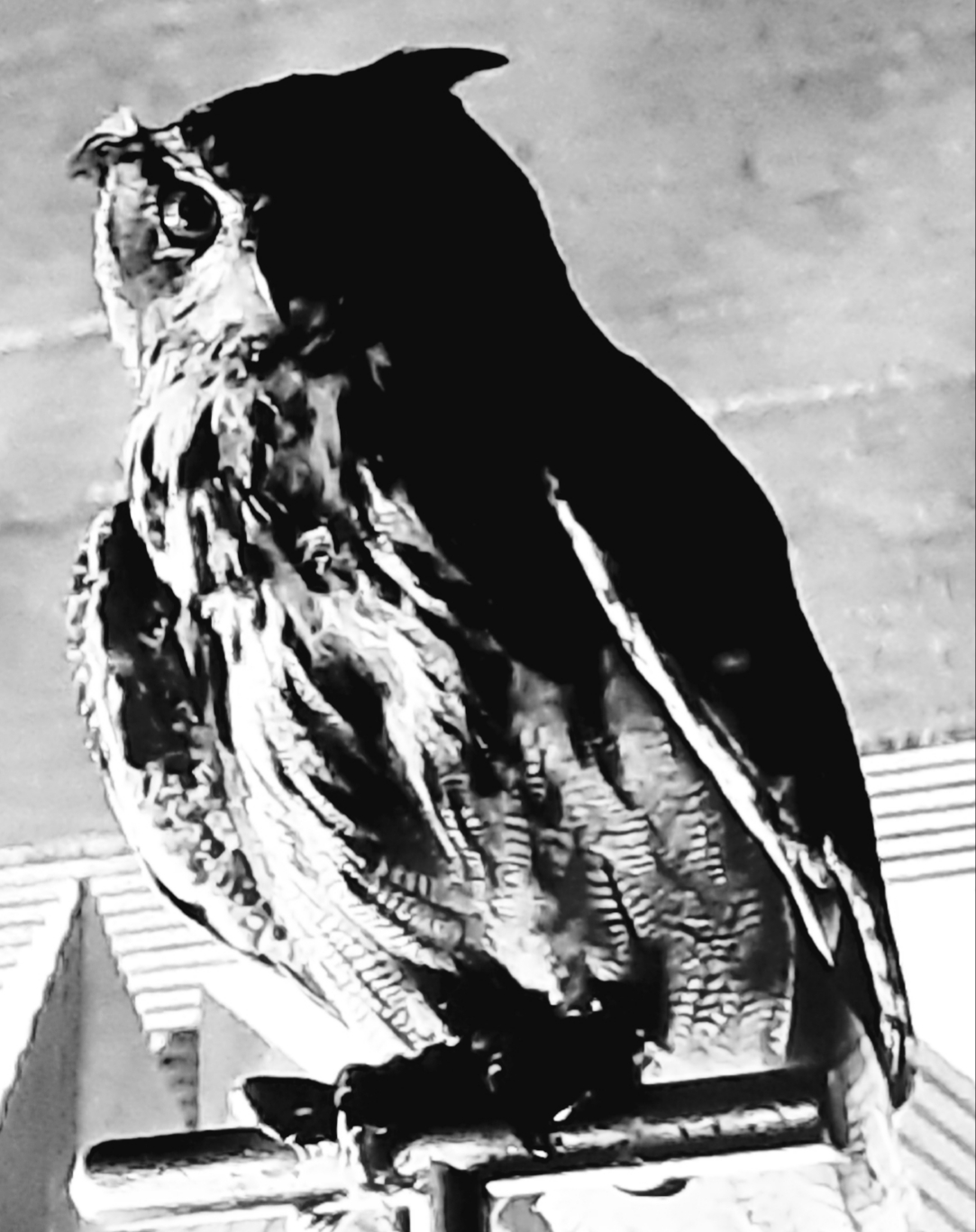 20191206_204041.jpg