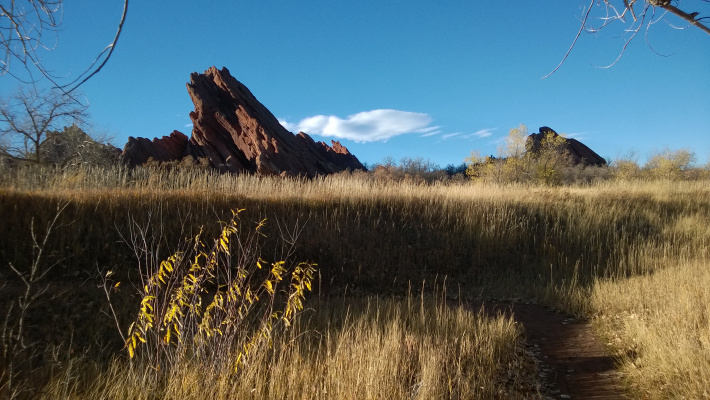 WP_20141108_017.jpg